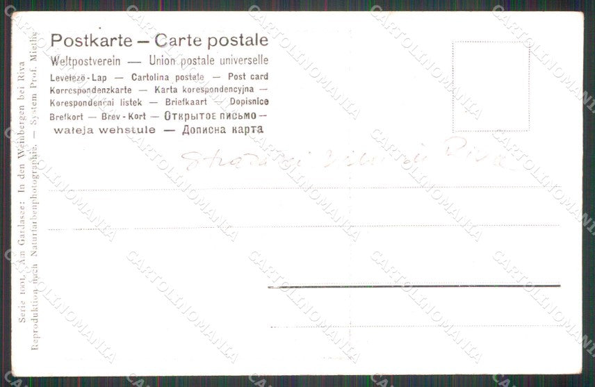 Trento Riva del Garda Strada dei Vini cartolina RT0394 – retro