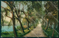 Trento Riva del Garda Viale dei Salici d'Oro cartolina RT0438 – fronte