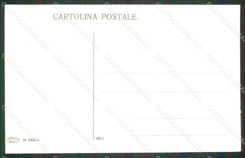 Trento Riva del Garda Piroscafo in Arrivo cartolina RT0440 – retro