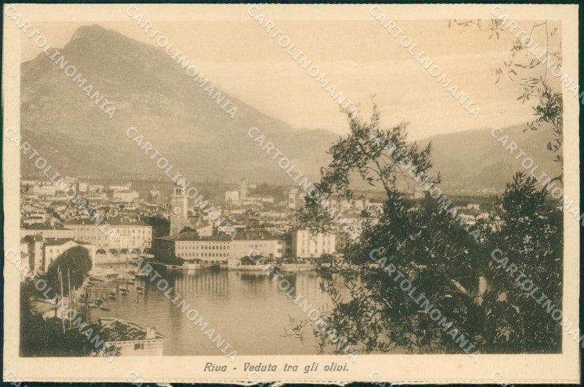 Trento Riva del Garda Veduta tra gli Olivi cartolina RT0476 – fronte
