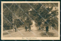 Trento Riva del Garda Viale della Stazione cartolina RT0483 – fronte