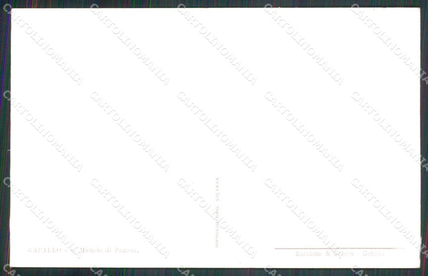 Genova Rapallo San Michele di Pagana cartolina RT0529 – retro