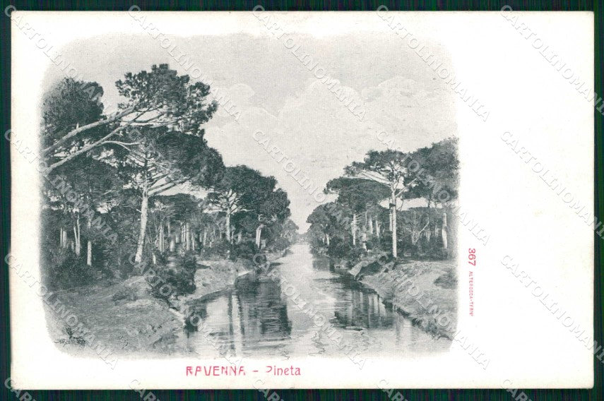 Ravenna Città Pineta Alterocca 367 cartolina RT0601 – fronte