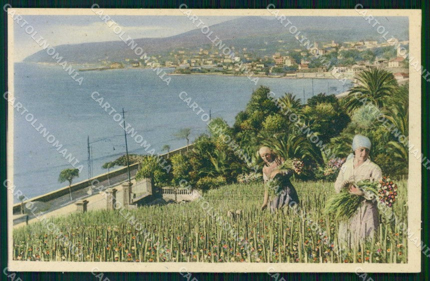 Imperia Sanremo Raccolta dei Garofani cartolina RT1049 – fronte