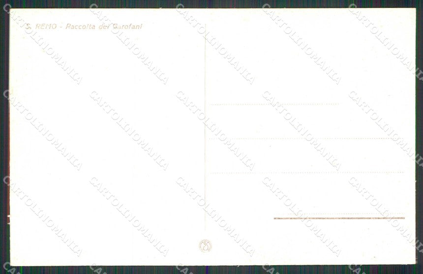 Imperia Sanremo Raccolta dei Garofani cartolina RT1049 – retro