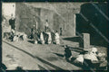 Siracusa Città Medea Teatro Greco Foto cartolina RT1164 – fronte