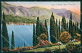 Brescia Salò Lago di Garda Cipressi cartolina RT1239 – fronte