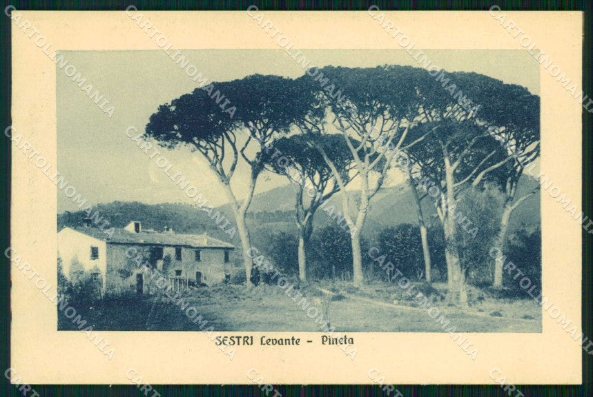 Genova Sestri Levante Pineta cartolina RT1253 – fronte