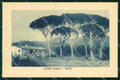 Genova Sestri Levante Pineta cartolina RT1253 – fronte