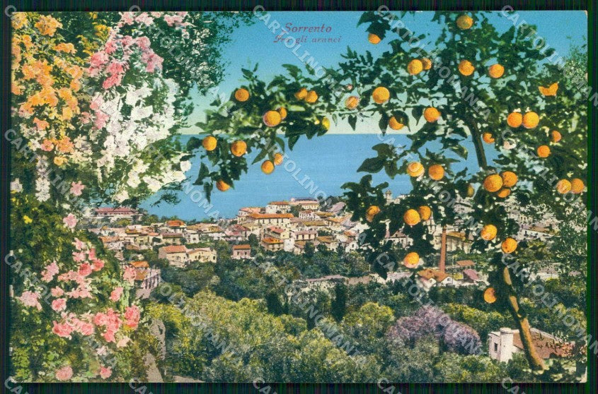 Napoli Sorrento Fra gli Aranci cartolina RT1340 – fronte