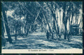 Ascoli Piceno San Benedetto del Tronto Pineta cartolina RT1449 – fronte