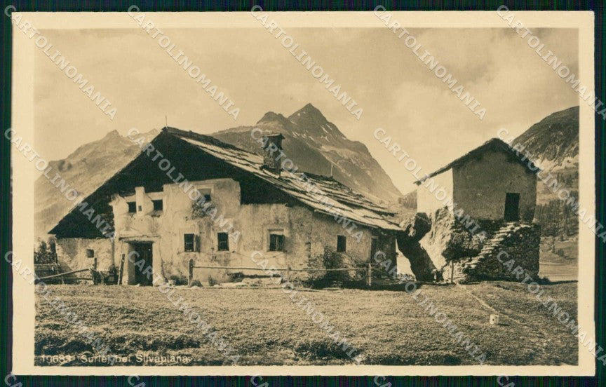 Svizzera Canton Grigioni Silvaplana Foto cartolina RT1709 – fronte