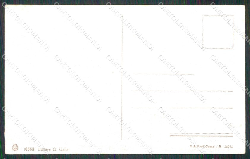 Imperia Ventimiglia Ulivo Gigantesco Brunner 16563 cartolina RT1910 – retro