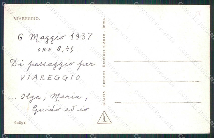 Lucca Viareggio Alberi Alterocca 60891 Foto cartolina RT2027 – retro
