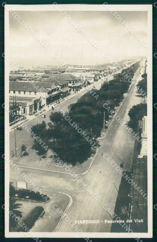Lucca Viareggio Panorama dei Viali Alterocca Foto cartolina RT2028 – fronte