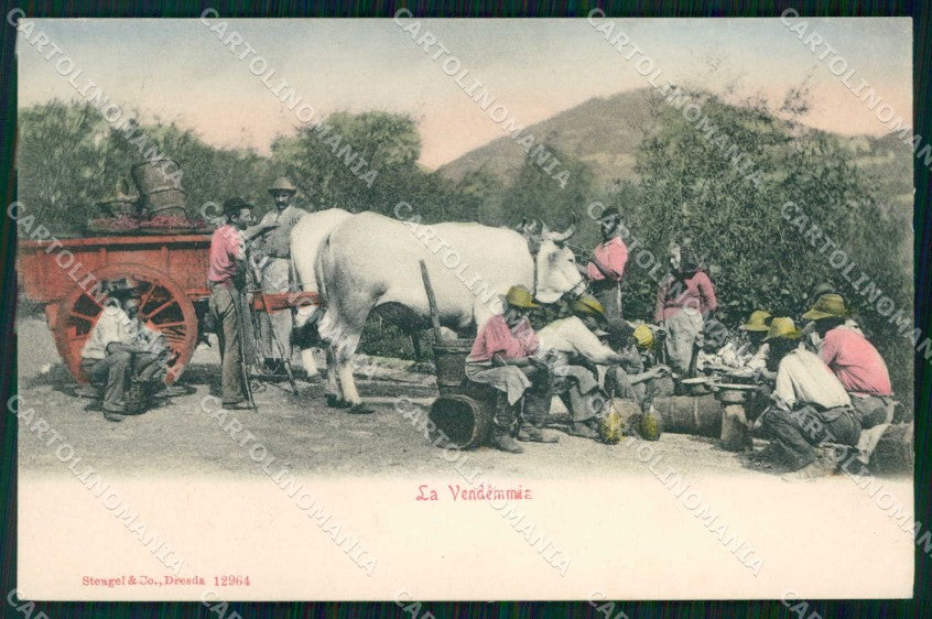 Firenze Costumi Vendemmia Stengel 12964 cartolina RT2111 – fronte