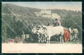 Firenze Costumi Vendemmia Stengel 12955 cartolina RT2113 – fronte