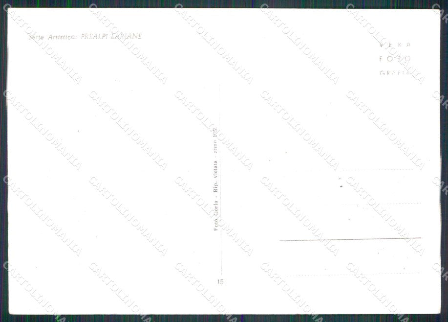 Como Valbrona Narcisi in Fioritura FG Foto cartolina RT2152 – retro
