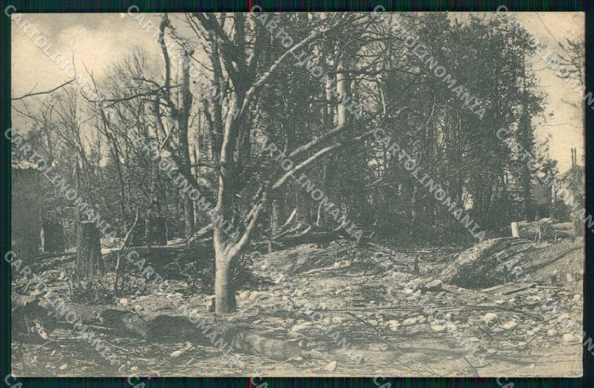 Gorizia Città Parco cartolina RT2416 – fronte