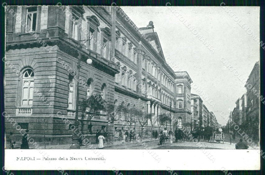 Napoli Città Palazzo della Nuova Università cartolina RT2509 – fronte