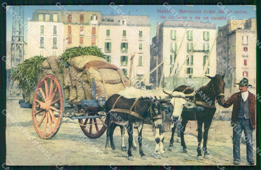 Napoli Città Barroccio tirato da un Asino un Bove e un Cavallo cartolina RT2537 – fronte