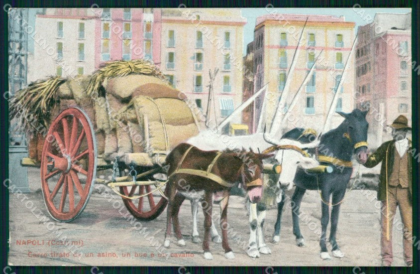 Napoli Città Carro tirato da Asino Bue Cavallo Costumi cartolina RT2629 – fronte