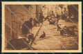 Napoli Città Zoologia Domestica cartolina RT2631 – fronte