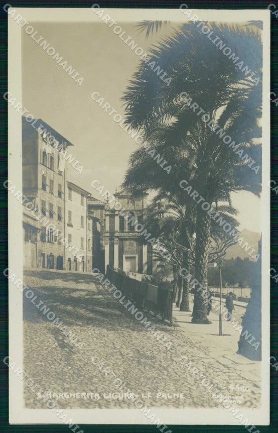 Genova Santa Margherita Lungomare Palme Foto cartolina RT2798 – fronte