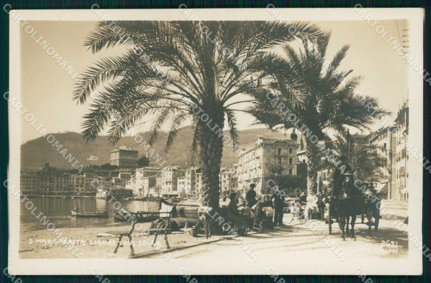 Genova Santa Margherita Via Sella Palme Foto cartolina RT2799 – fronte
