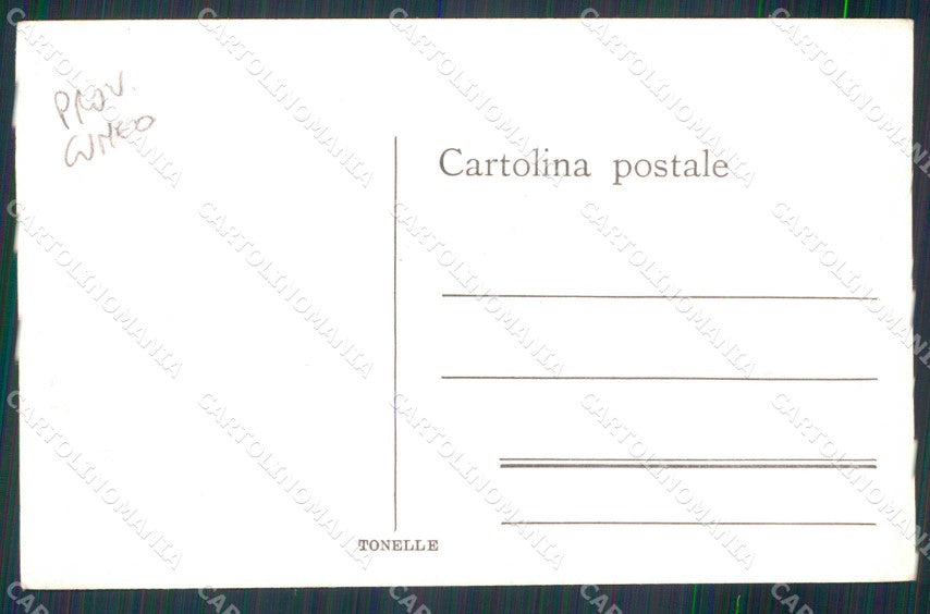 Cuneo Città Scena di Montagna Pecore Foto cartolina RT2823 – retro