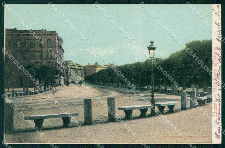 Livorno Città Viale Regina Margherita cartolina RT2995 – fronte