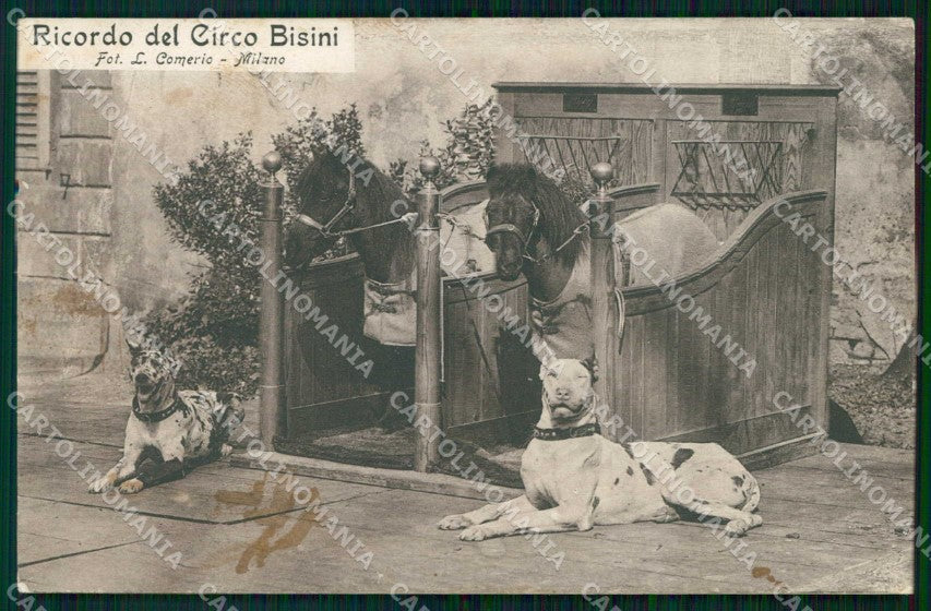 Milano Città Ricordo di Circo Bisini Great Dane Alano cartolina RT3003 – fronte