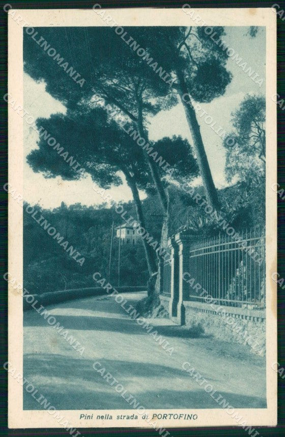 Genova Portofino Pini nella Strada cartolina RT3025 – fronte