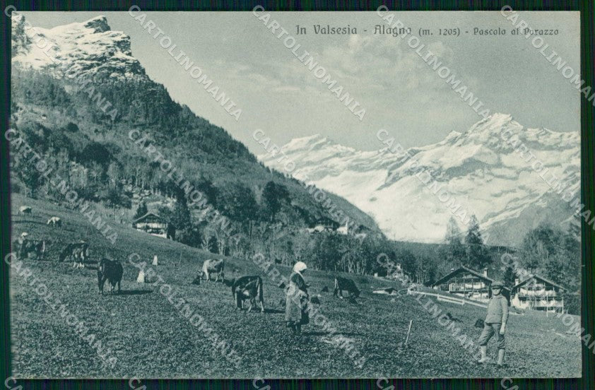 Vercelli Alagna Valsesia Pascolo al Porazzo Zanfa cartolina RT3256 – fronte
