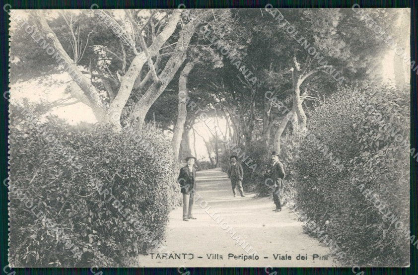 Taranto Città Villa Peripato Viale dei Pini cartolina RT3454 – fronte