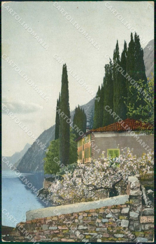 Trento Torbole Cipressi Lago di Garda FORO cartolina RT3556 – fronte