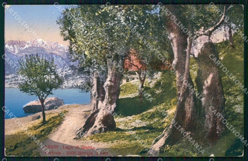 Trento Torbole Lago di Garda cartolina RT3593 – fronte