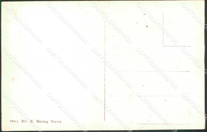 Udine Tarvisio Foto cartolina RT3925 – retro