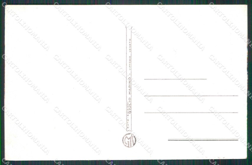 Udine Tolmezzo Rifugio de Gasperi Forca dell'Alpino cartolina RT3985 – retro