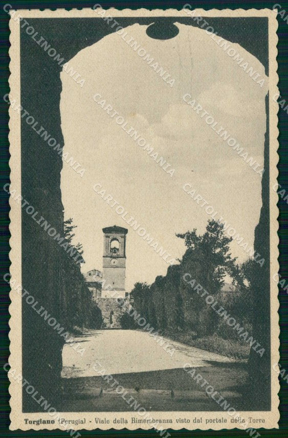 Perugia Torgiano Viale della Rimembranza Alterocca 144244 Foto cartolina RT4017 – fronte