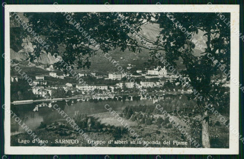 Bergamo Sarnico Lago d'Iseo Alberi Sponda del Fiume Foto cartolina RT4173 – fronte