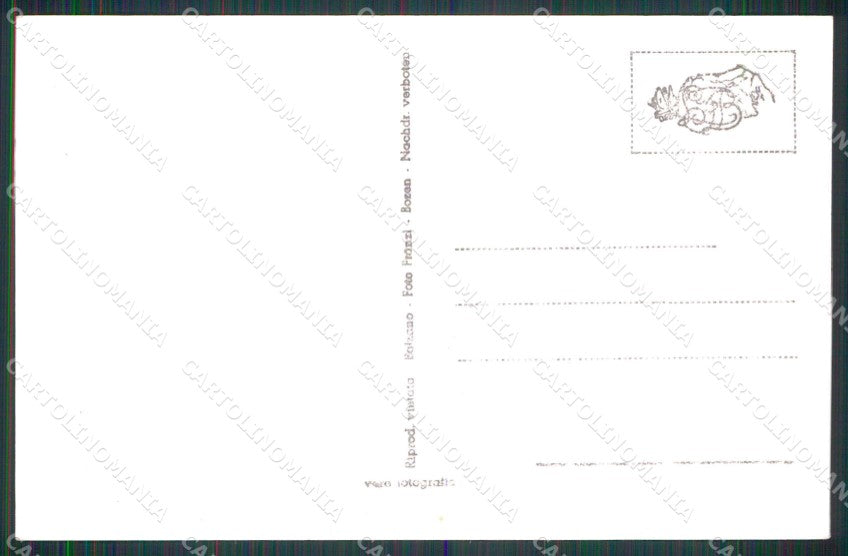 Bolzano Terlano Val d'Adige Franzl 706 48 Foto cartolina RT4309 – retro