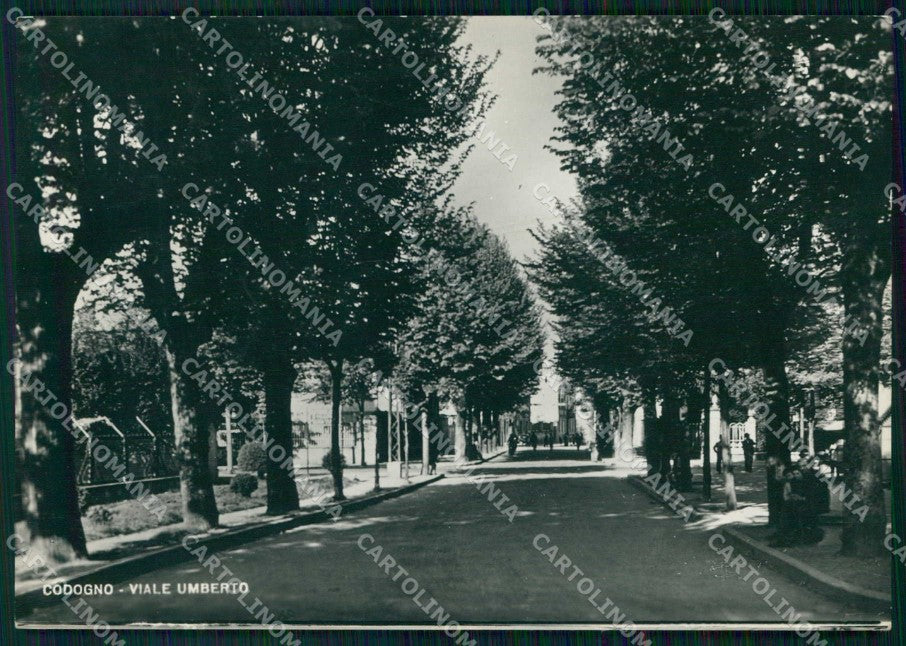 Lodi Codogno Viale Umberto FG Foto cartolina RT4339 – fronte