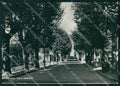 Lodi Codogno Viale Umberto FG Foto cartolina RT4339 – fronte