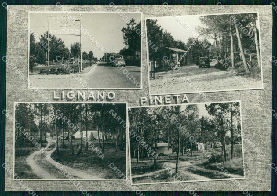 Udine Lignano Pineta Corso dei Fiori Campeggio FG Foto cartolina RT4407 – fronte