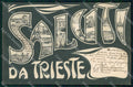 Trieste Città Saluti da cartolina RT4761 – fronte