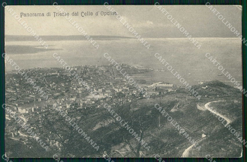 Trieste Città Veduta dal Colle di Opicina cartolina RT4887 – fronte