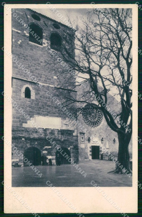Trieste Città Crociera Saturnia cartolina RT4958 – fronte