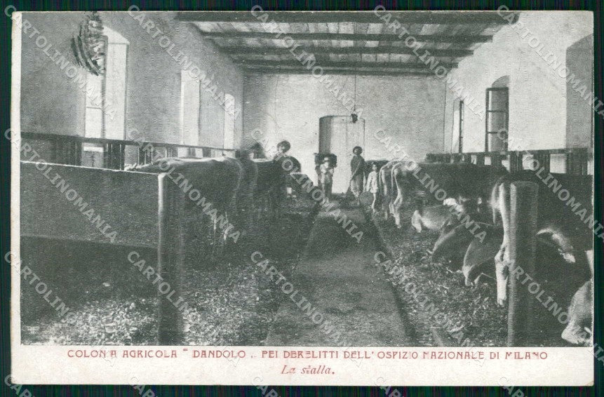 Milano Città Colonia Agricola Dandolo Stalla cartolina RT5212 – fronte
