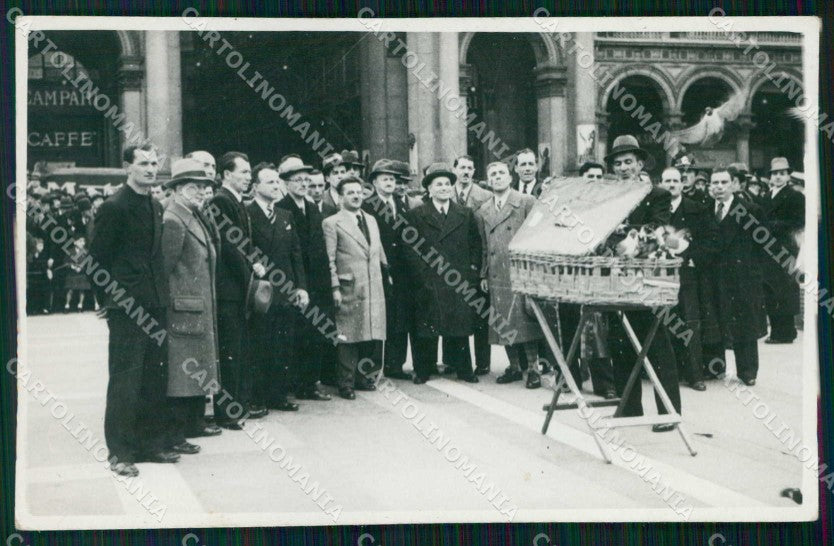 Milano Città Cesta con Piccioni Via Broletto Foto cartolina RT5822 – fronte